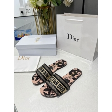 Christian Dior Slippers